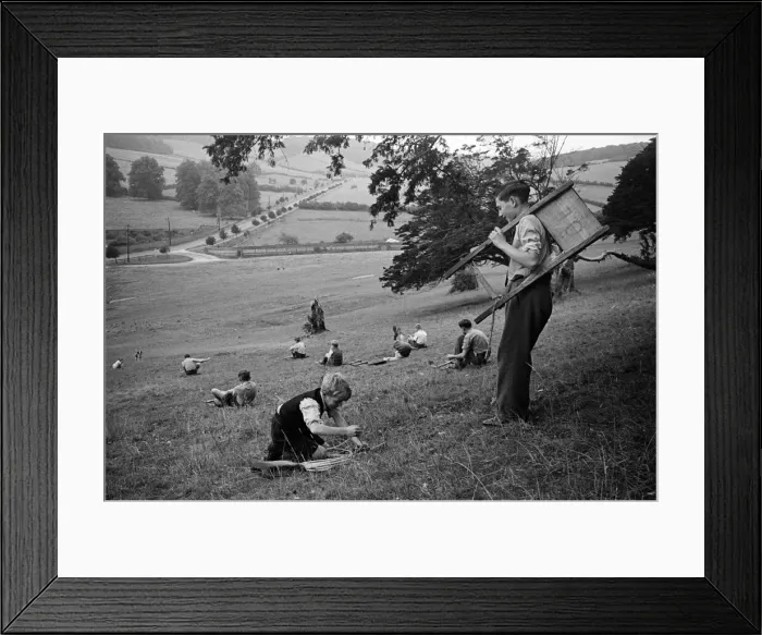 Framed Print : Schoolboys from West Wycombe go tobogganing on a hill in the village. circa 1945