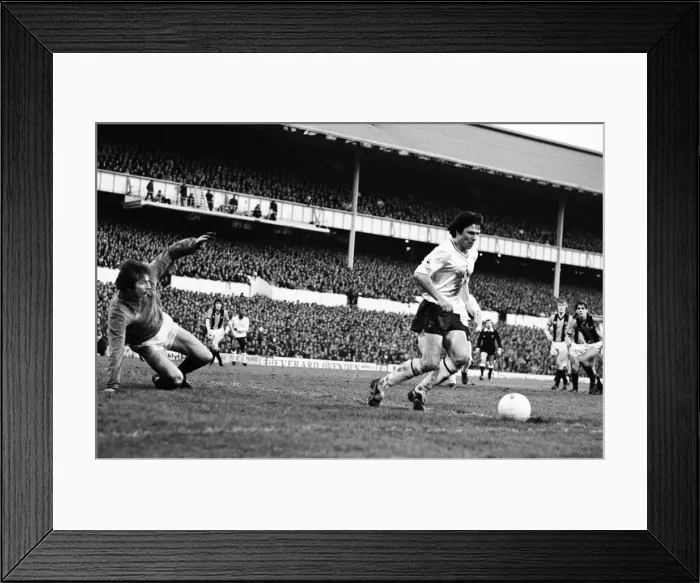 Framed Print : Tottenham Hotspur 2-0 Hull City, FA Fourth Round match at White Hart Lane Framed Print : Tottenham Hotspur 2-0 Hull City, FA Fourth Round match at White Hart Lane