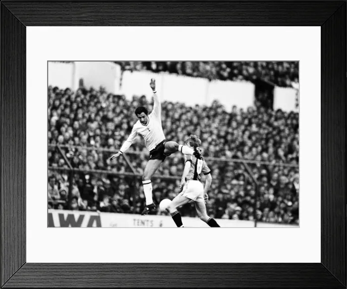 Framed Print : Tottenham Hotspur 2-0 Hull City, FA Fourth Round match at White Hart Lane Framed Print : Tottenham Hotspur 2-0 Hull City, FA Fourth Round match at White Hart Lane