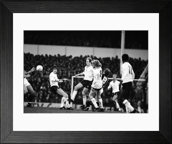 Framed Print : Tottenham Hotspur 2-0 Hull City, FA Fourth Round match at White Hart Lane Framed Print : Tottenham Hotspur 2-0 Hull City, FA Fourth Round match at White Hart Lane