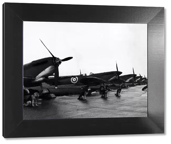 Twelve Spitfire fighter planes lined up on the air strip at North Weald