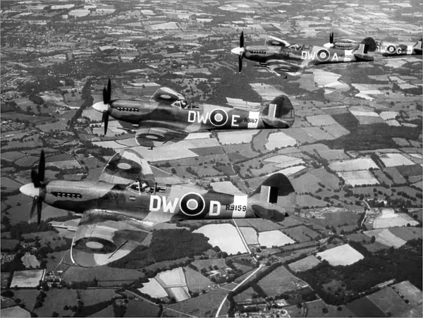 Four Supermarine Spitfire F Mark XIVs, of No. 610 Squadron on patrol over Southern