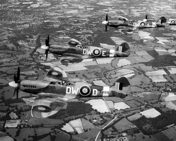 Four Supermarine Spitfire F Mark XIVs, of No. 610 Squadron on patrol over Southern