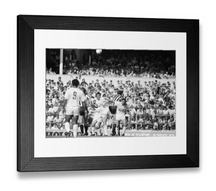 Framed Print : Tottenham Hotspur 5-1 Newcastle, League match at White Hart Lane Framed Print : Tottenham Hotspur 5-1 Newcastle, League match at White Hart Lane