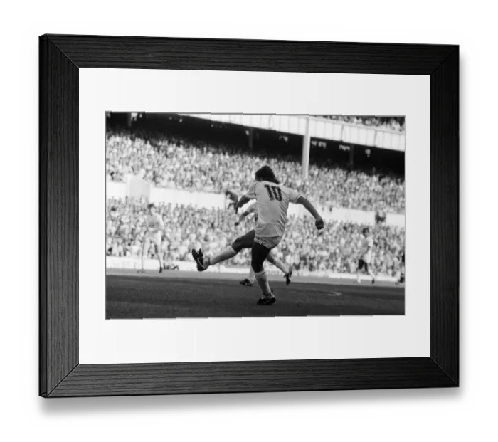 Framed Print : Tottenham Hotspur 5-1 Newcastle, League match at White Hart Lane Framed Print : Tottenham Hotspur 5-1 Newcastle, League match at White Hart Lane