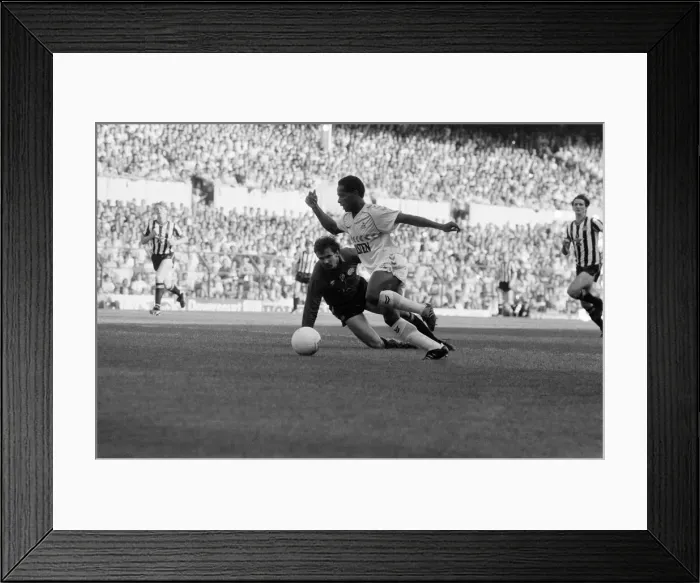 Framed Print : Tottenham Hotspur 5-1 Newcastle, League match at White Hart Lane Framed Print : Tottenham Hotspur 5-1 Newcastle, League match at White Hart Lane