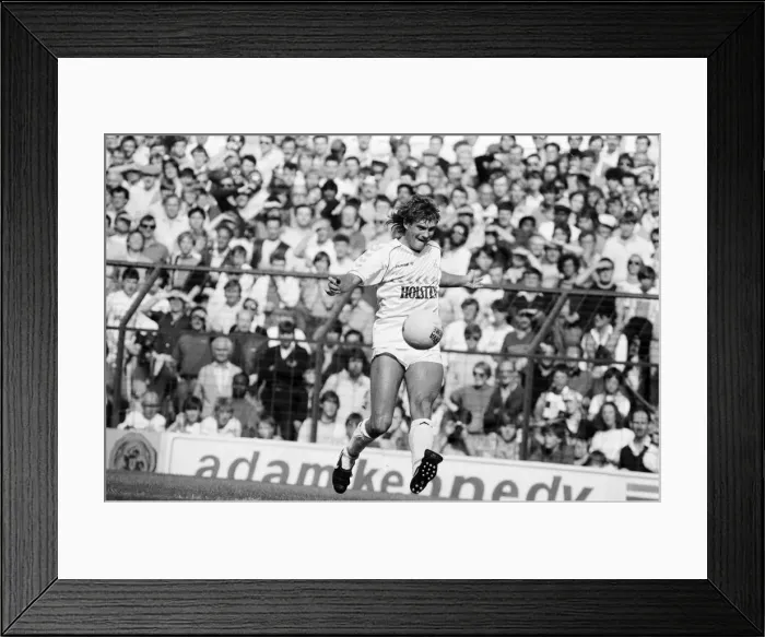 Framed Print : Tottenham Hotspur 5-1 Newcastle, League match at White Hart Lane Framed Print : Tottenham Hotspur 5-1 Newcastle, League match at White Hart Lane