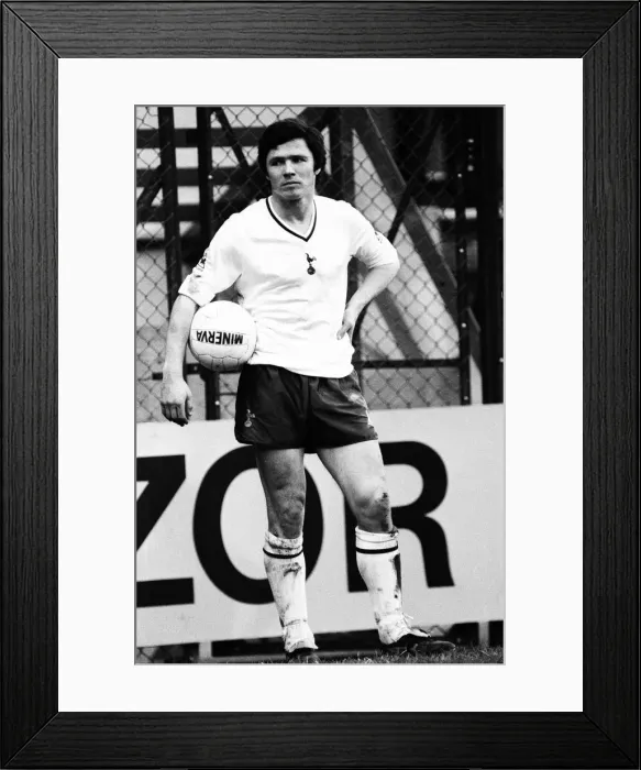 Framed Print : Tottenham Hotspur 2-0 Hull City, FA Fourth Round match at White Hart Lane Framed Print : Tottenham Hotspur 2-0 Hull City, FA Fourth Round match at White Hart Lane