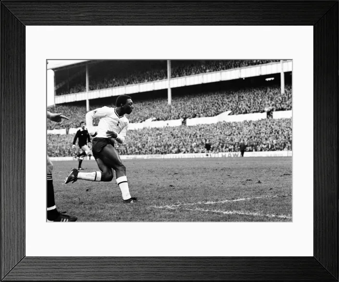 Framed Print : Tottenham Hotspur 2-0 Hull City, FA Fourth Round match at White Hart Lane Framed Print : Tottenham Hotspur 2-0 Hull City, FA Fourth Round match at White Hart Lane
