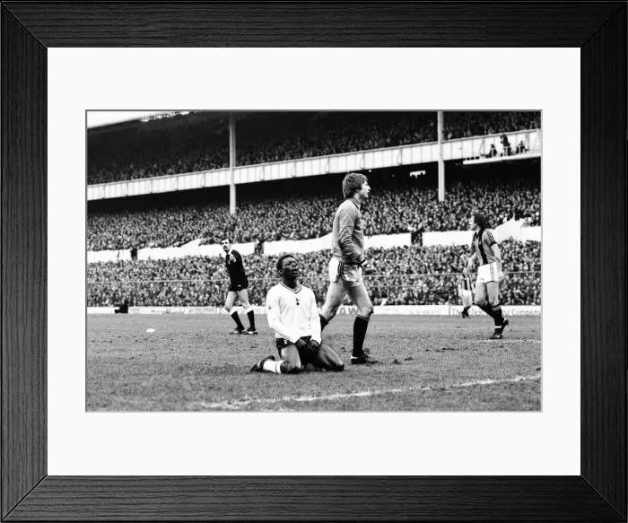 Framed Print : Tottenham Hotspur 2-0 Hull City, FA Fourth Round match at White Hart Lane Framed Print : Tottenham Hotspur 2-0 Hull City, FA Fourth Round match at White Hart Lane