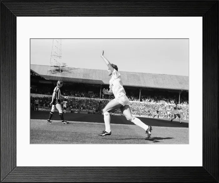Framed Print : Tottenham Hotspur 5-1 Newcastle, League match at White Hart Lane Framed Print : Tottenham Hotspur 5-1 Newcastle, League match at White Hart Lane