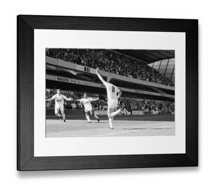 Framed Print : Tottenham Hotspur 5-1 Newcastle, League match at White Hart Lane