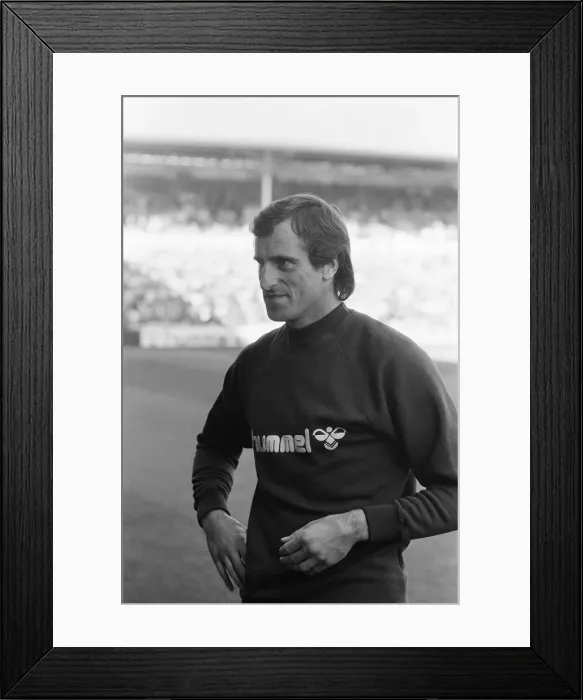 Framed Print : Tottenham Hotspur 5-1 Newcastle, League match at White Hart Lane Framed Print : Tottenham Hotspur 5-1 Newcastle, League match at White Hart Lane