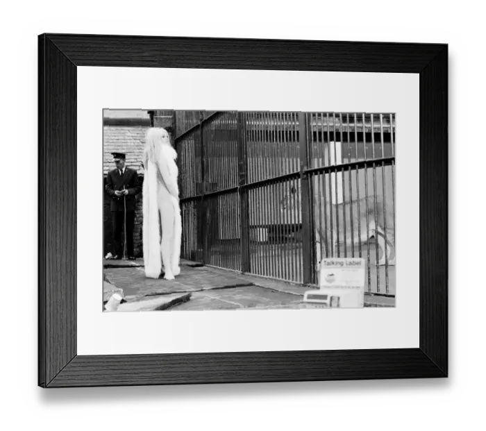Framed Print : French film actress Brigitte Bardot on location at London Zoo during filming of her Framed Print : French film actress Brigitte Bardot on location at London Zoo during filming of her