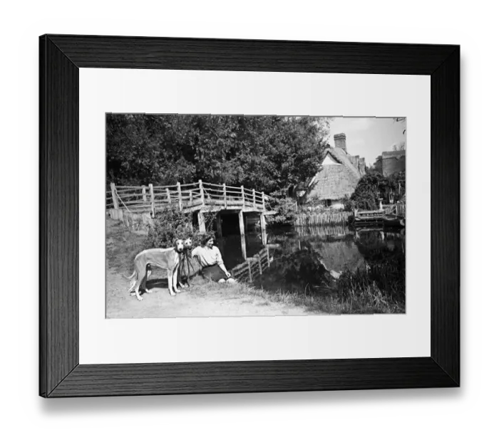 Framed Print : A woman with two dogs at Flatford Mill, on the River Stour close to the Suffolk-Essex