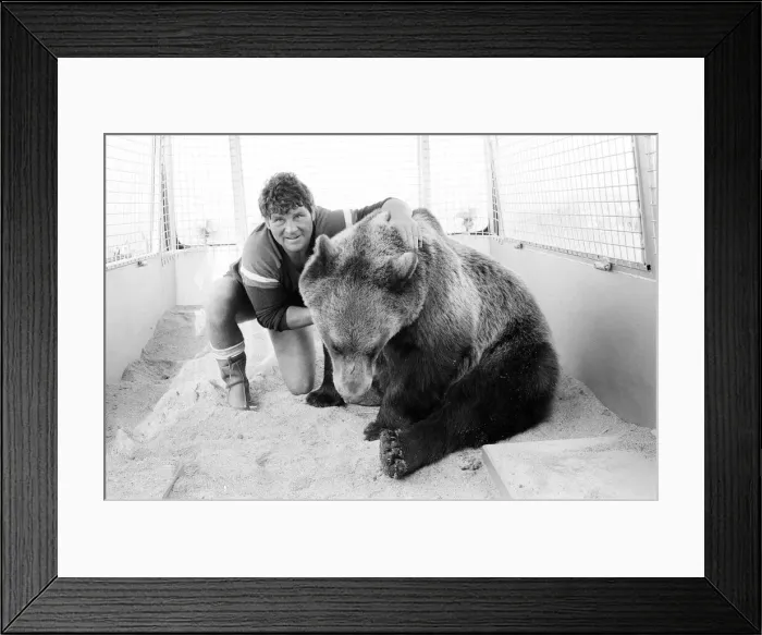 Framed Print : Hercules The Bear, tracked down and captured on the waste moorlands of North Uist Framed Print : Hercules The Bear, tracked down and captured on the waste moorlands of North Uist