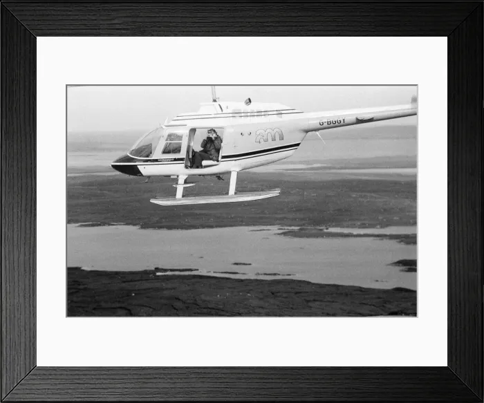 Framed Print : Hercules The Bear, tracked down and captured on the waste moorlands of North Uist Framed Print : Hercules The Bear, tracked down and captured on the waste moorlands of North Uist