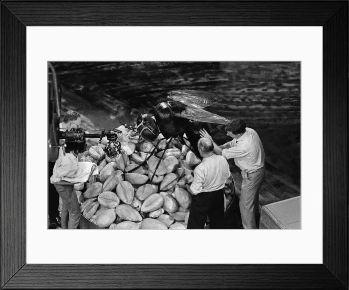 Framed Print : Planet of Giants is the first serial of the second season in the British science fiction Framed Print : Planet of Giants is the first serial of the second season in the British science fiction