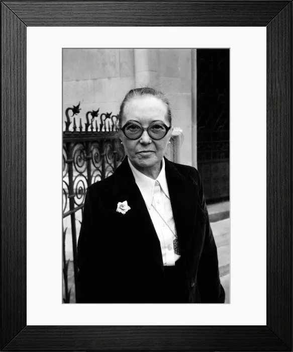 Framed Print : CPSA president Kate Losinska at the High Court. Losinska claims that she is being wrongly Framed Print : CPSA president Kate Losinska at the High Court. Losinska claims that she is being wrongly