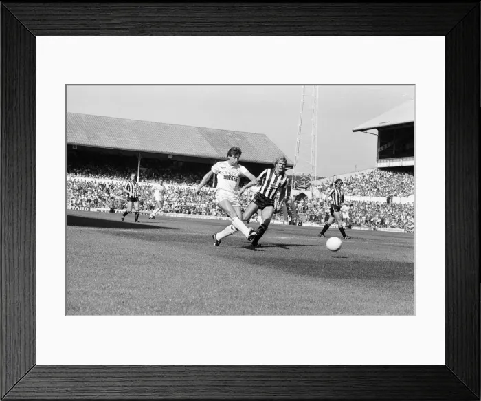 Framed Print : Tottenham Hotspur 5-1 Newcastle, League match at White Hart Lane