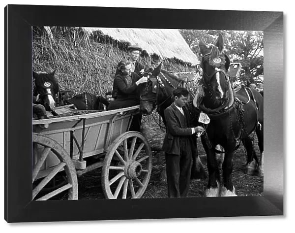 A ploughing match takes place in Cranbrook, Kent. Circa 1946