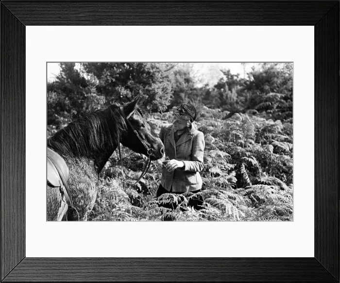Framed Print : Cross country horse riding in Beaconsfield, Buckinghamshire. Circa 1946 Framed Print : Cross country horse riding in Beaconsfield, Buckinghamshire. Circa 1946