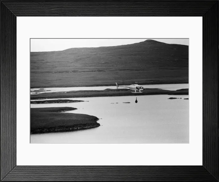 Framed Print : Hercules The Bear, tracked down and captured on the waste moorlands of North Uist Framed Print : Hercules The Bear, tracked down and captured on the waste moorlands of North Uist
