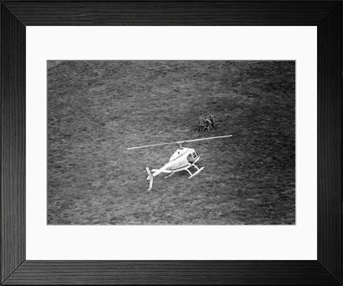 Framed Print : Hercules The Bear, tracked down and captured on the waste moorlands of North Uist Framed Print : Hercules The Bear, tracked down and captured on the waste moorlands of North Uist