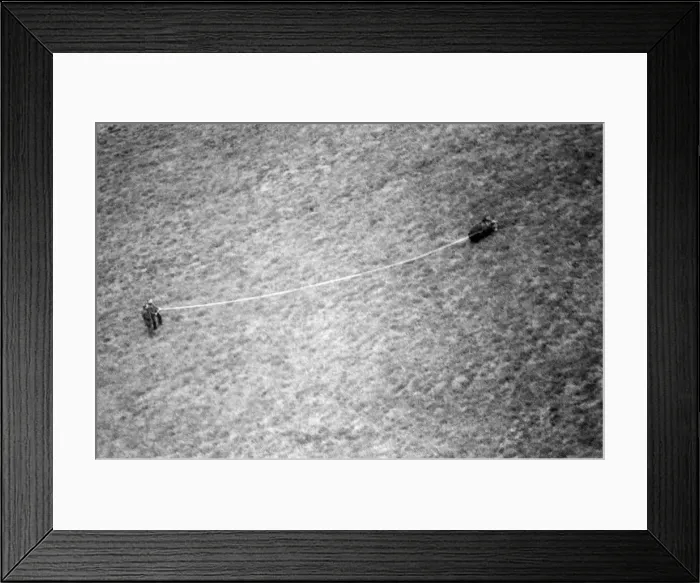 Framed Print : Hercules The Bear, tracked down and captured on the waste moorlands of North Uist