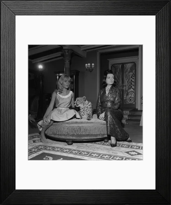 Framed Print : Actress Hayley Mills November 1963 with cheetah and actress Pola Negri on the set Framed Print : Actress Hayley Mills November 1963 with cheetah and actress Pola Negri on the set