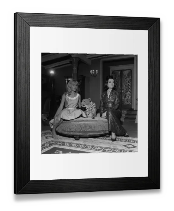 Framed Print : Actress Hayley Mills November 1963 with cheetah and actress Pola Negri on the set Framed Print : Actress Hayley Mills November 1963 with cheetah and actress Pola Negri on the set