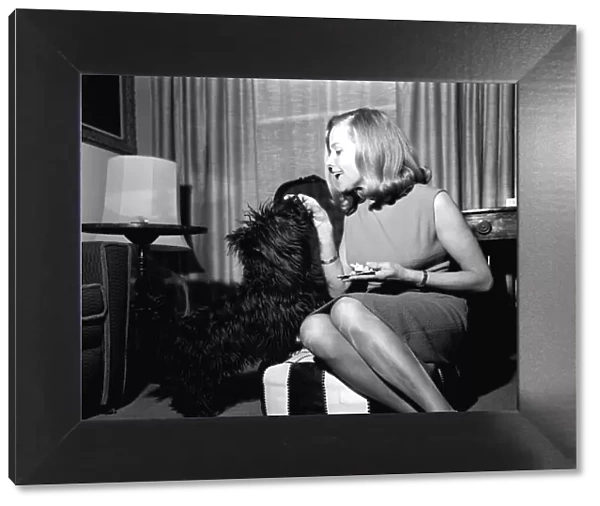 Honor Blackman actress May 1965 with her dog Wotan a Scottish terrier