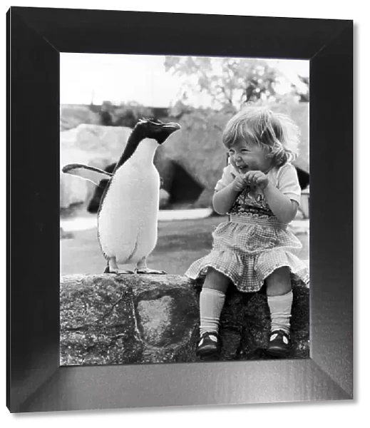 Rocky the Penguin never misses a chance to show off in front of the visitors to