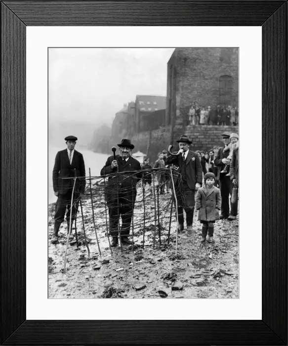 Framed Print : The annual ceremony of planting the Penny Hedge which dates back 800 years seen here