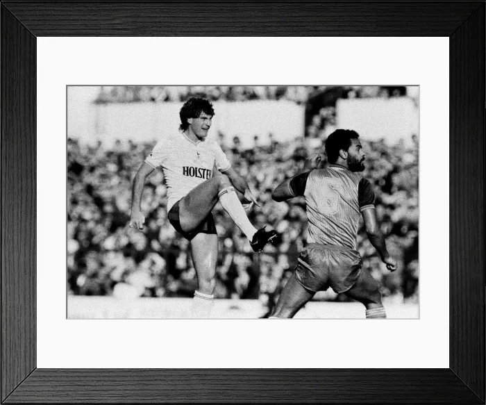 Framed Print : Tottenham Hotspur 4-0 Stoke City, league match at White Hart Lane Framed Print : Tottenham Hotspur 4-0 Stoke City, league match at White Hart Lane