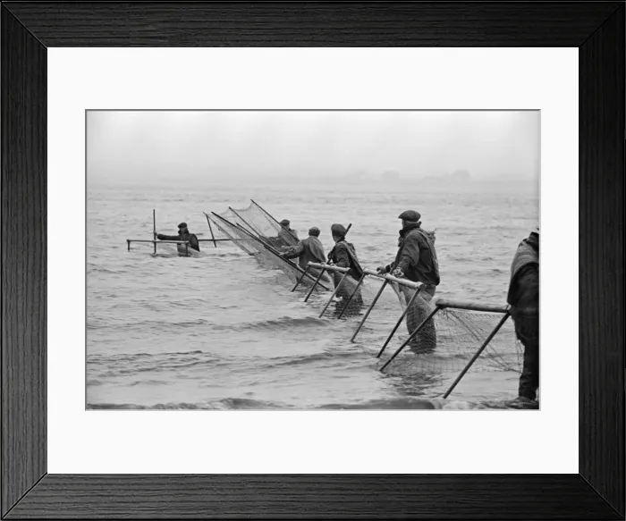 Framed Print : Fishermen fishing in the sea in Solway. The Solway Firth is a firth that forms part of