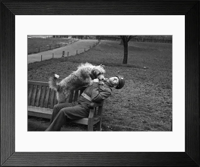 Framed Print : One of the Queens Guardsmen in a park with a dog, London, circa February 1948 Framed Print : One of the Queens Guardsmen in a park with a dog, London, circa February 1948