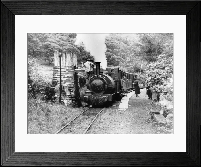 Framed Print : Steam train on the Talyllyn railway line which runs for 7 Framed Print : Steam train on the Talyllyn railway line which runs for 7
