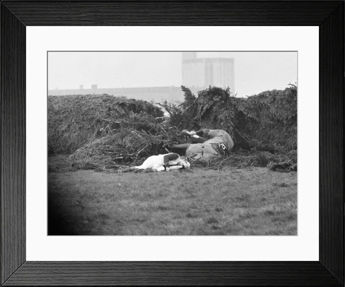 Framed Print : Jockey Paddy Farrell is thrown from his horse Border Flight at the 15th fence of Framed Print : Jockey Paddy Farrell is thrown from his horse Border Flight at the 15th fence of