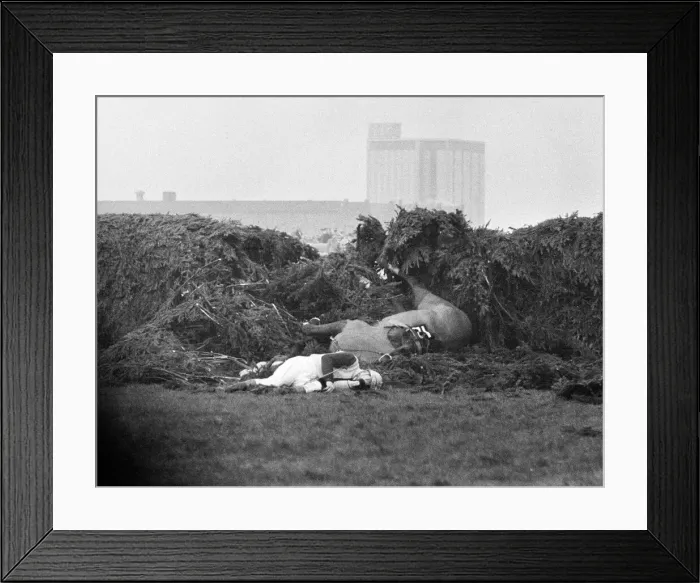 Framed Print : Jockey Paddy Farrell is thrown from his horse Border Flight at the 15th fence of Framed Print : Jockey Paddy Farrell is thrown from his horse Border Flight at the 15th fence of