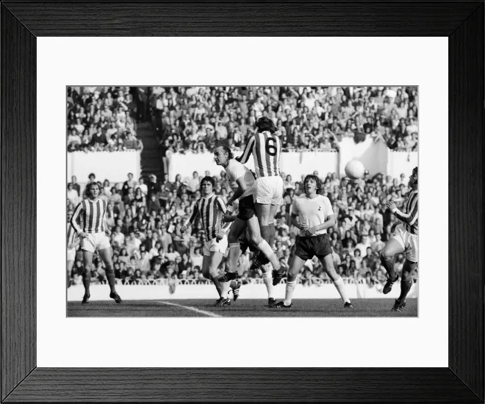 Framed Print : Tottenham Hotspur 4-3 Stoke City, league match at White Hart Lane Framed Print : Tottenham Hotspur 4-3 Stoke City, league match at White Hart Lane