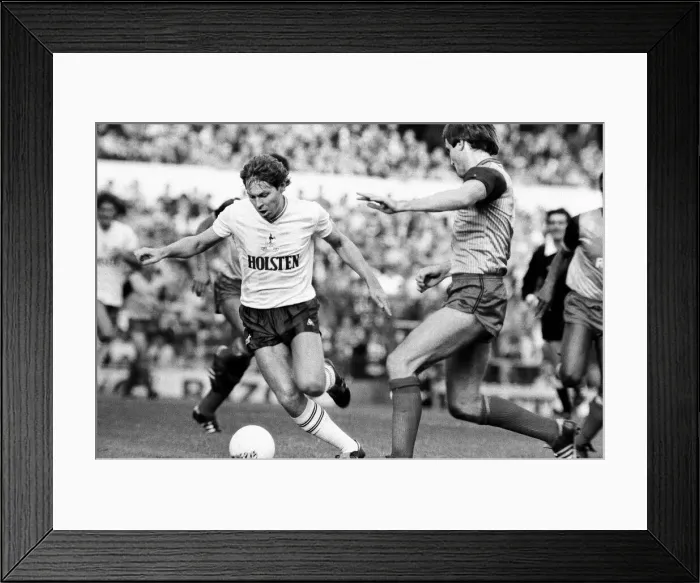 Framed Print : Tottenham Hotspur 4-0 Stoke City, league match at White Hart Lane Framed Print : Tottenham Hotspur 4-0 Stoke City, league match at White Hart Lane