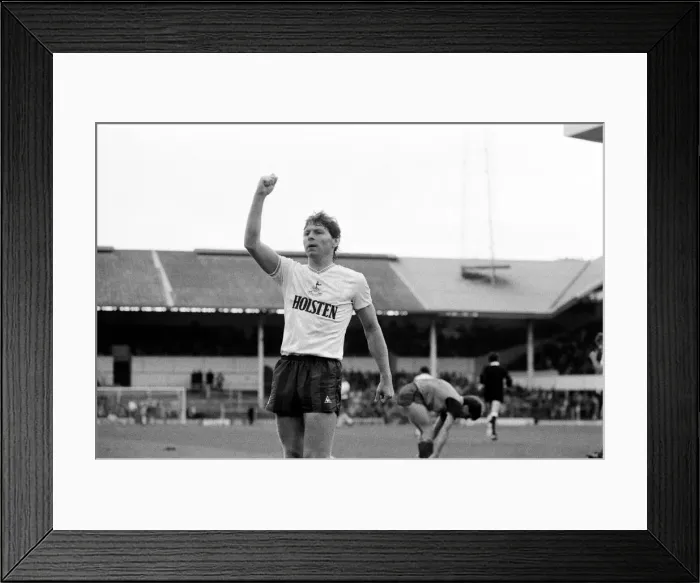 Framed Print : Tottenham Hotspur 4-0 Stoke City, league match at White Hart Lane Framed Print : Tottenham Hotspur 4-0 Stoke City, league match at White Hart Lane