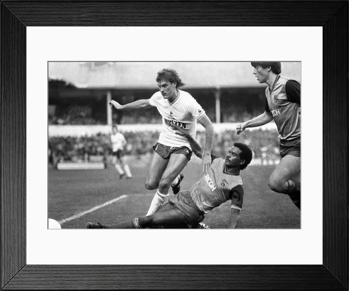 Framed Print : Tottenham Hotspur 4-0 Stoke City, league match at White Hart Lane Framed Print : Tottenham Hotspur 4-0 Stoke City, league match at White Hart Lane
