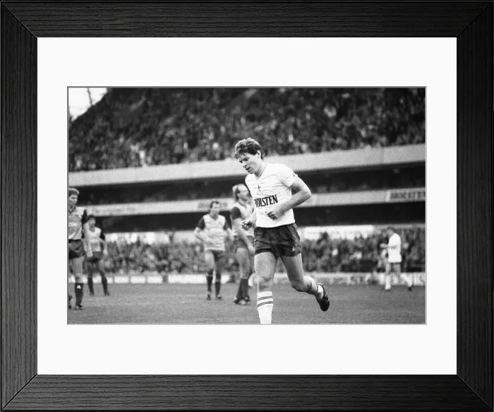 Framed Print : Tottenham Hotspur 4-0 Stoke City, league match at White Hart Lane Framed Print : Tottenham Hotspur 4-0 Stoke City, league match at White Hart Lane