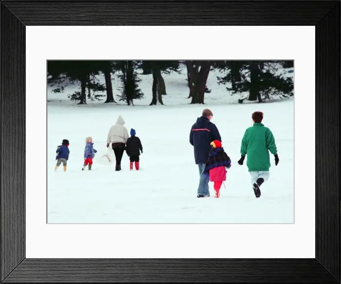 Framed Print : Stewart Park, Marton, Middlesbrough, 28th February 1993 Framed Print : Stewart Park, Marton, Middlesbrough, 28th February 1993