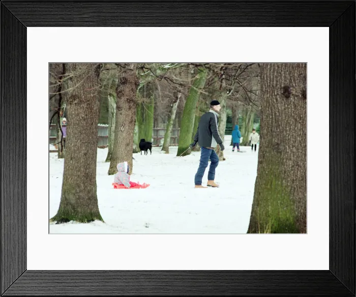 Framed Print : Stewart Park, Marton, Middlesbrough, 28th February 1993 Framed Print : Stewart Park, Marton, Middlesbrough, 28th February 1993