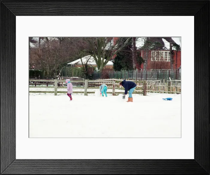 Framed Print : Stewart Park, Marton, Middlesbrough, 28th February 1993 Framed Print : Stewart Park, Marton, Middlesbrough, 28th February 1993