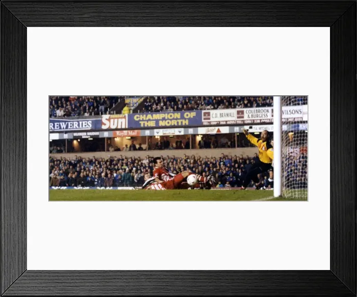 Framed Print : Newcastle 3 - 0 Liverpool Premiership match held at St James Park Framed Print : Newcastle 3 - 0 Liverpool Premiership match held at St James Park
