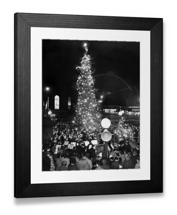 Framed Print : A Salvation Army band leads carol singers under magnificent tree in St George Framed Print : A Salvation Army band leads carol singers under magnificent tree in St George